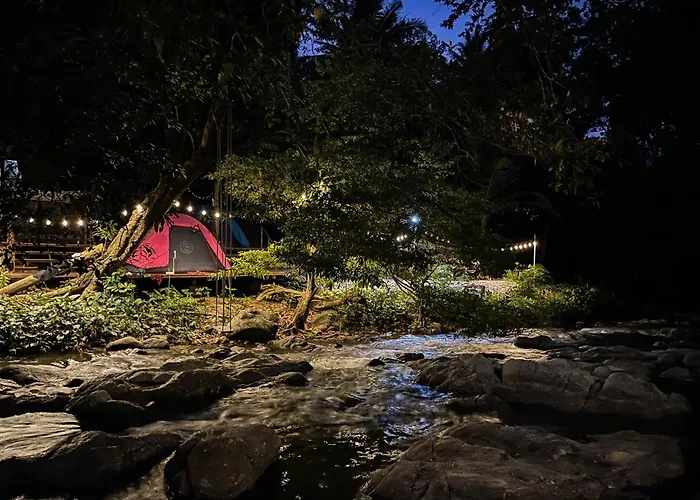 Oasis Forest Garden
