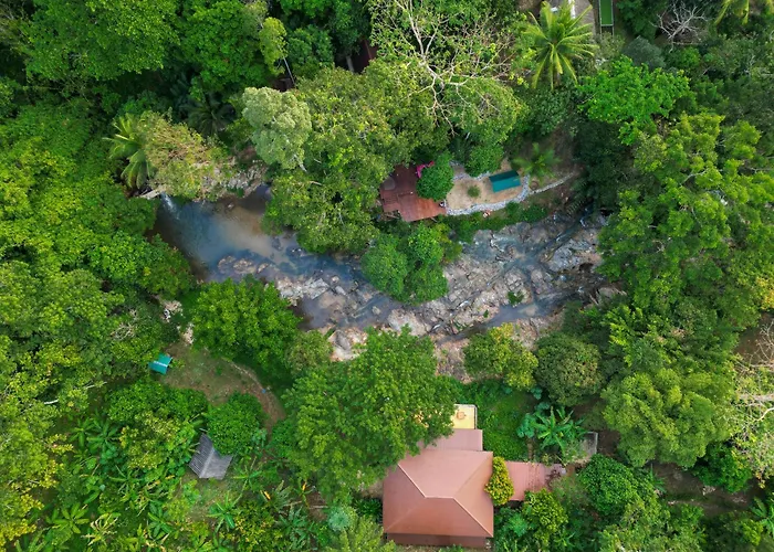 Oasis Forest Garden