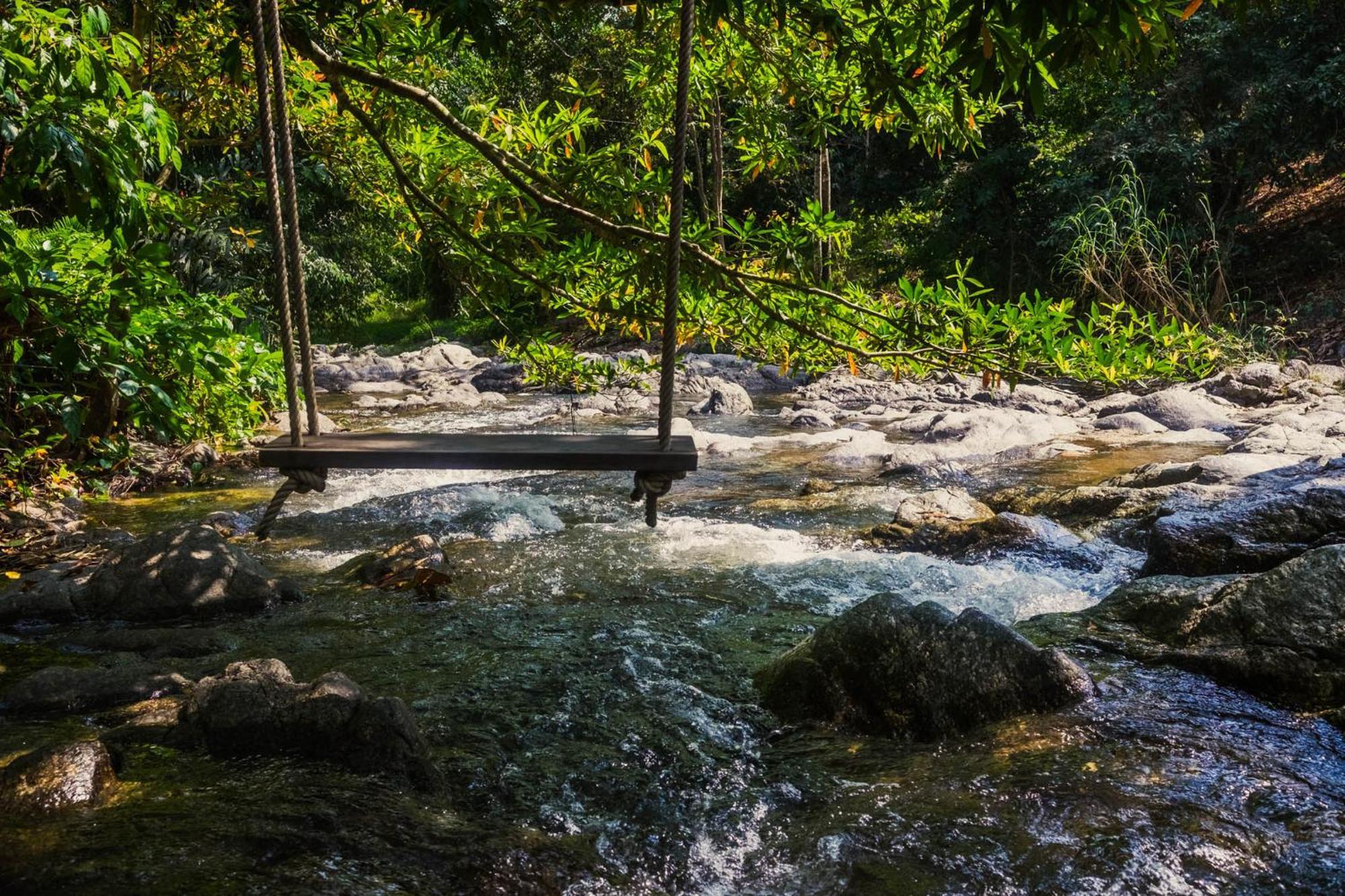 Oasis Forest Garden *