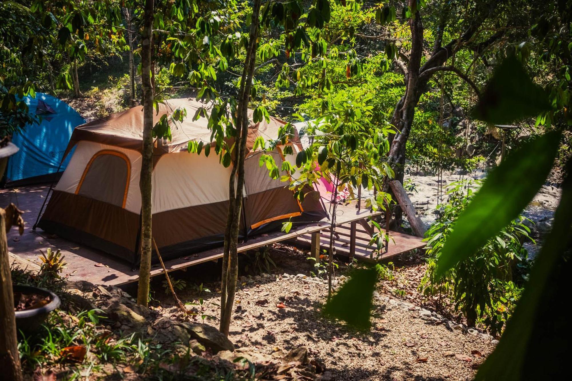 Oasis Forest Garden * Ban Takuk Nua