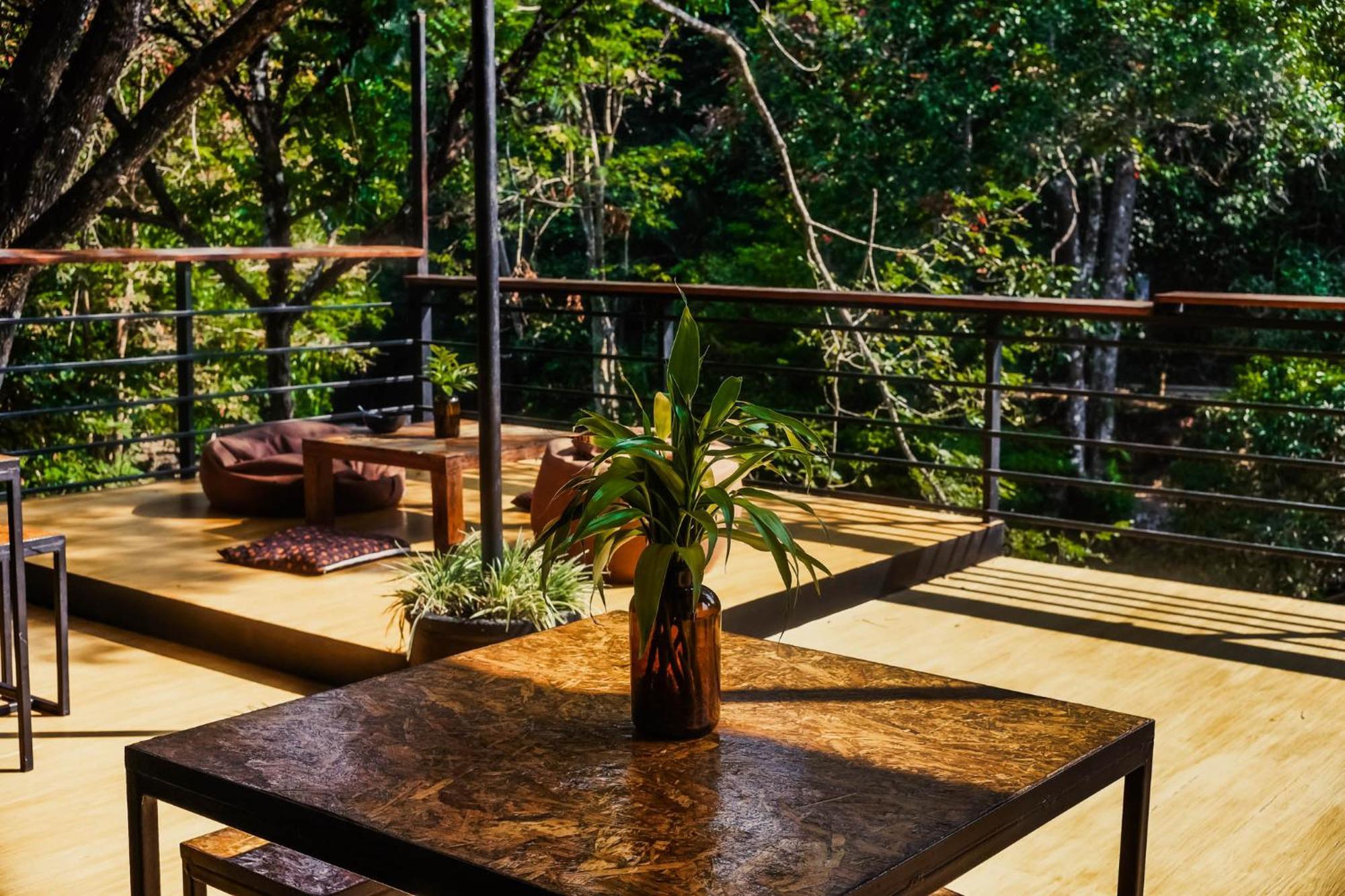 Oasis Forest Garden Ban Takuk Nua