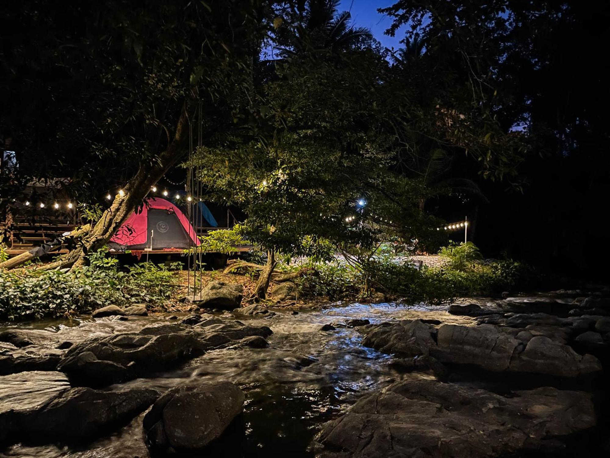 Oasis Forest Garden *