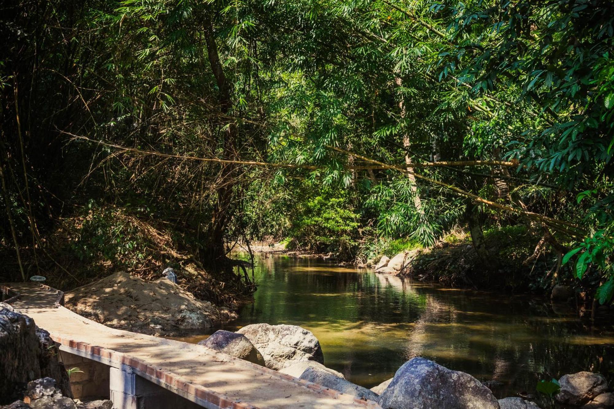 Oasis Forest Garden *