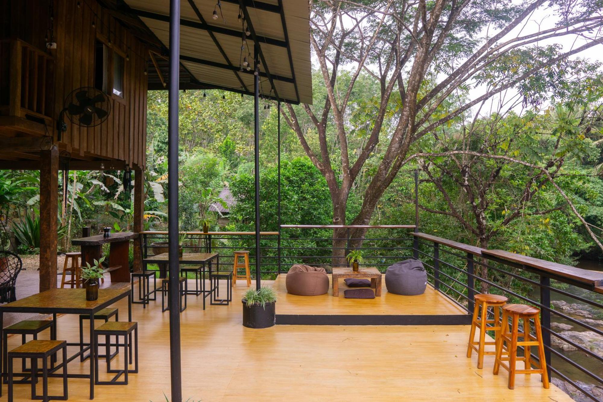 Oasis Forest Garden