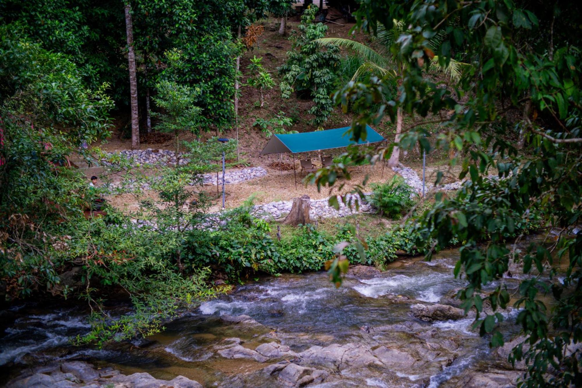 Oasis Forest Garden