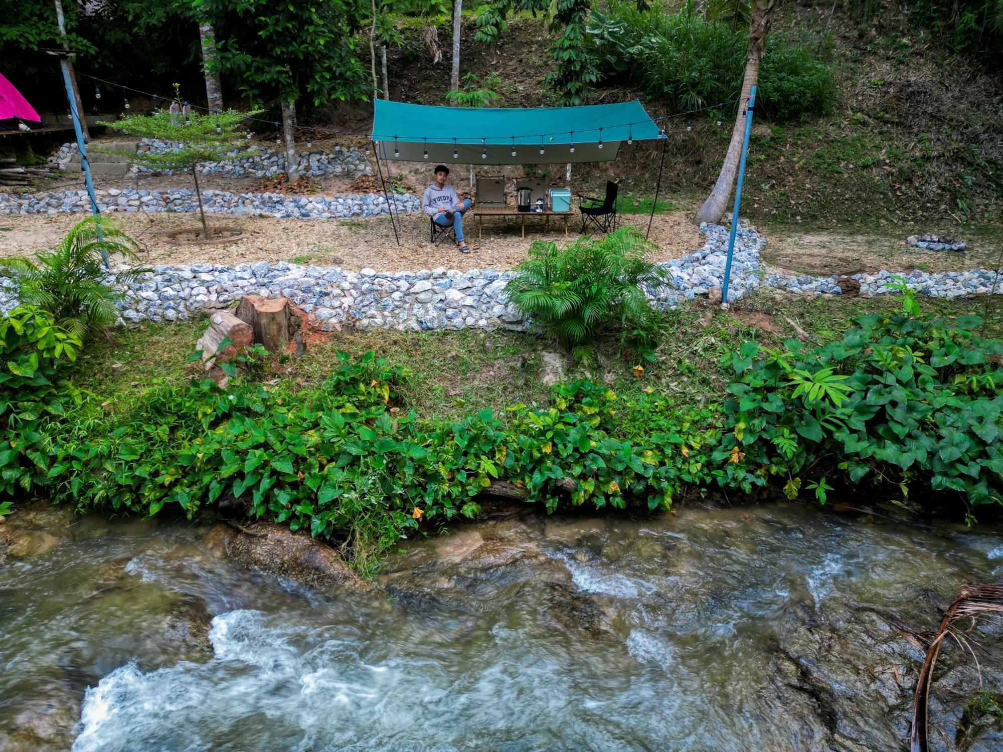 Oasis Forest Garden