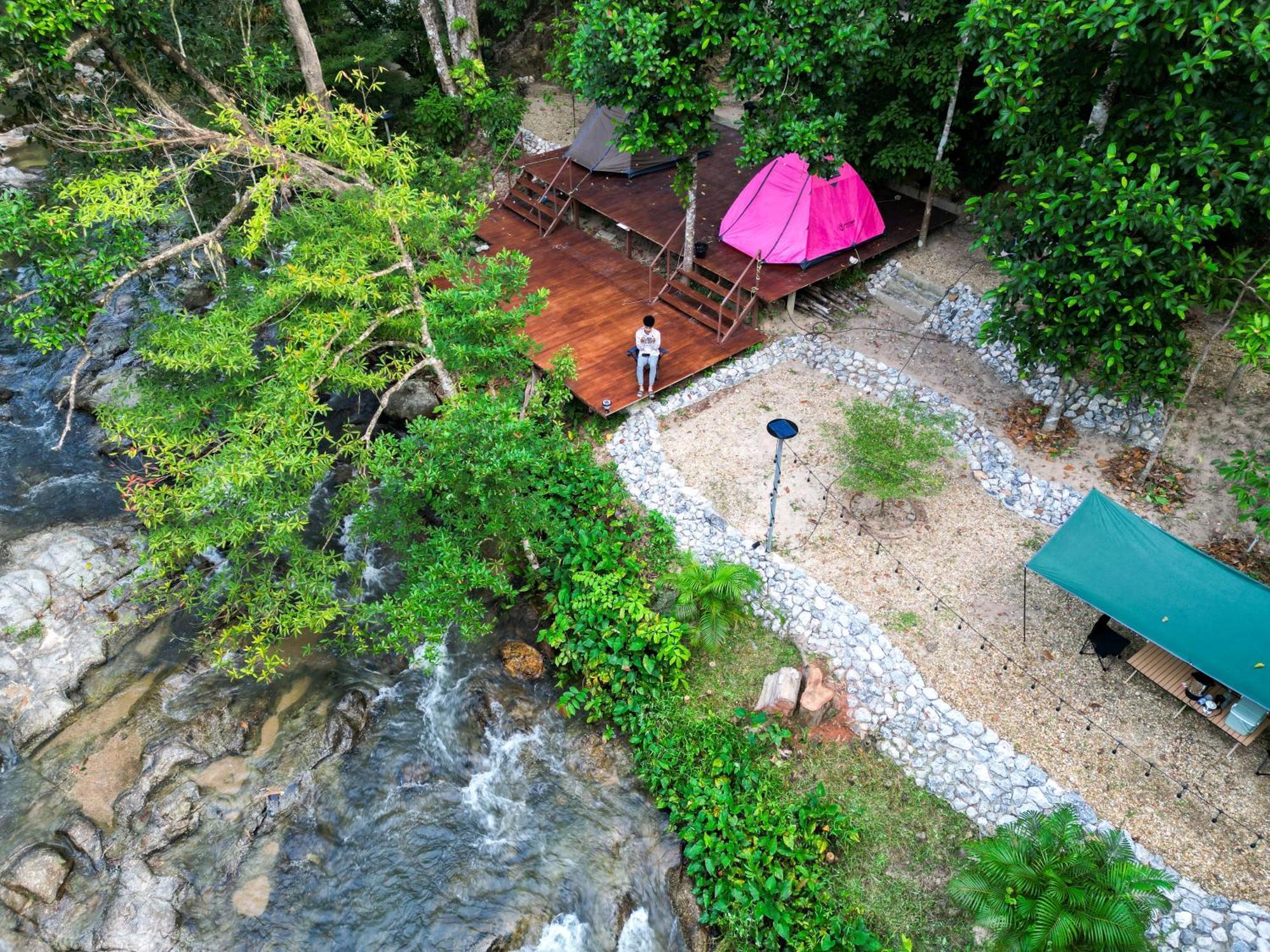 Oasis Forest Garden