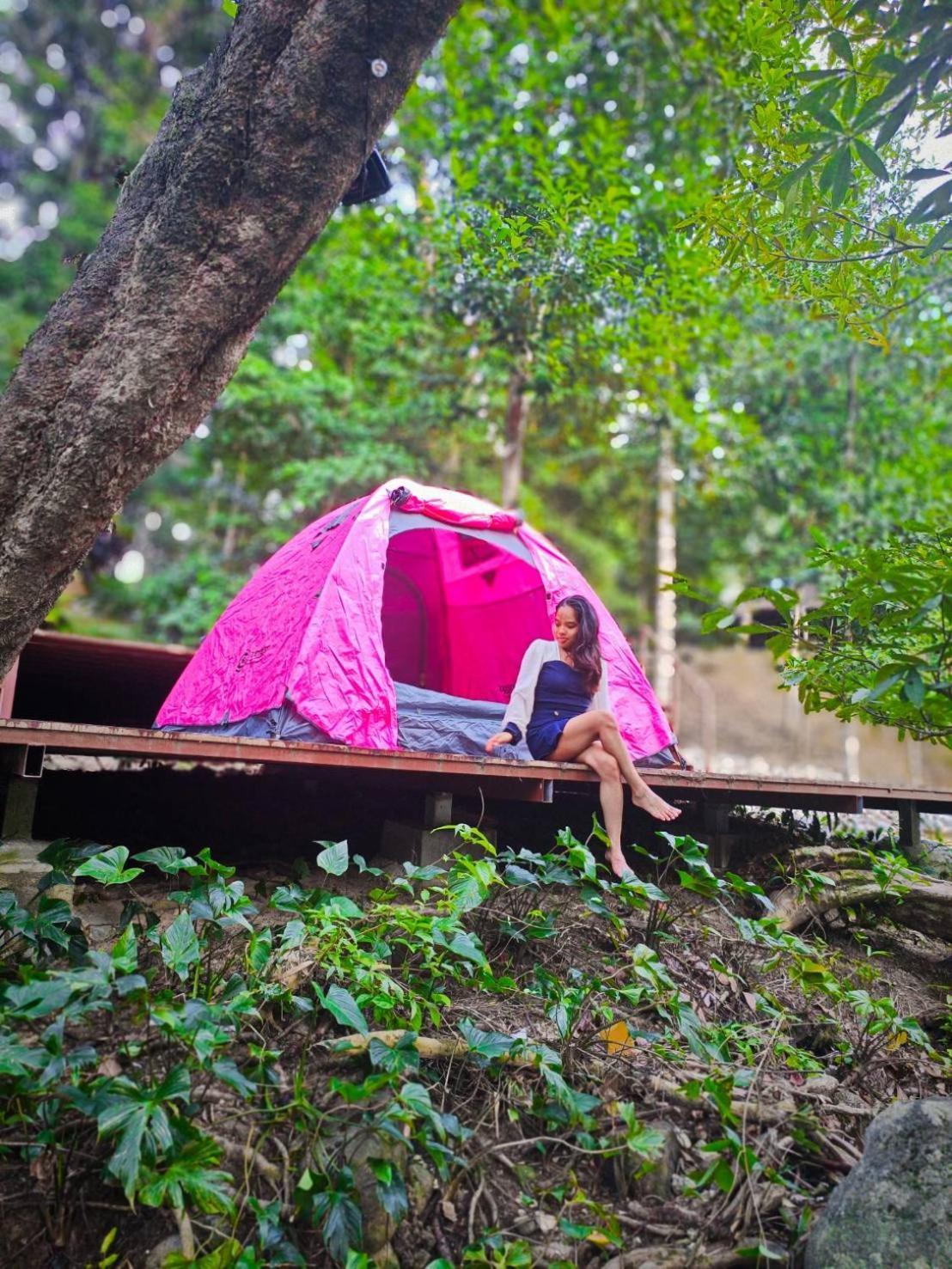 Homestay Oasis Forest Garden *