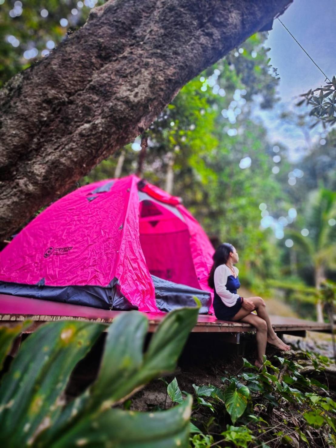 Oasis Forest Garden * Ban Takuk Nua