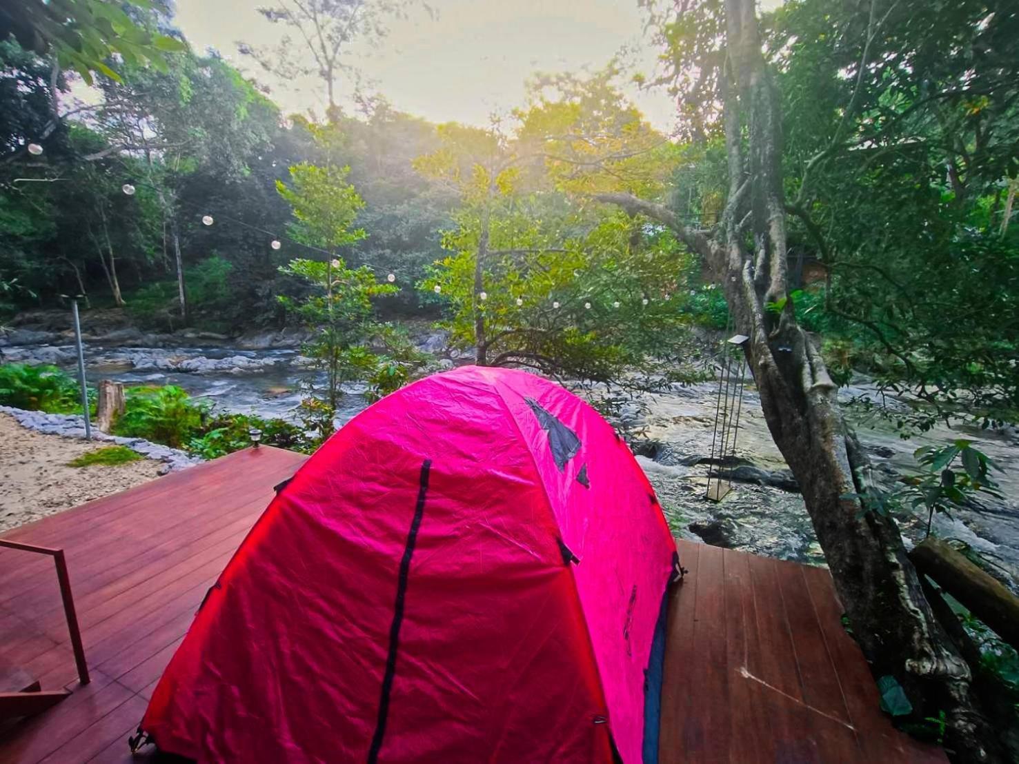 Homestay Oasis Forest Garden *