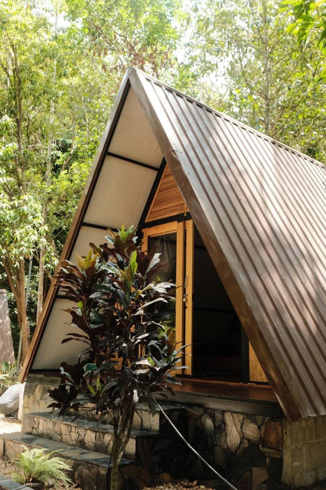 Oasis Forest Garden *