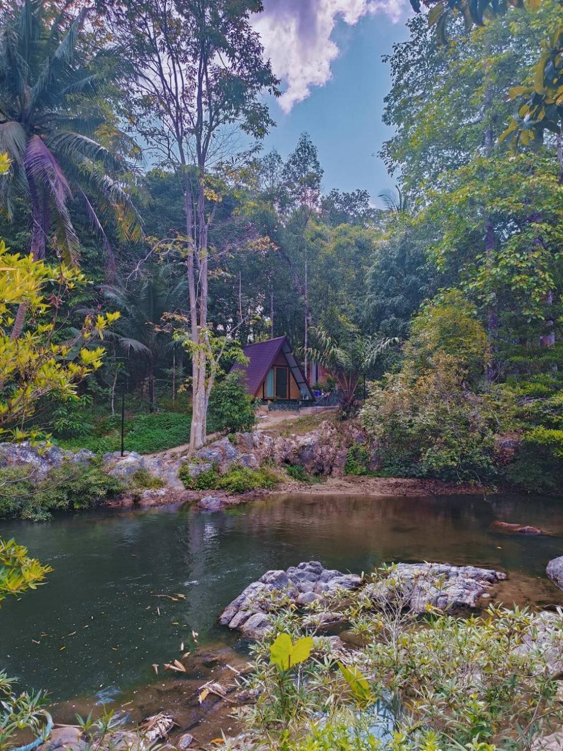 Homestay Oasis Forest Garden